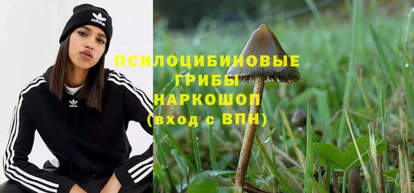прущий лед Алексин