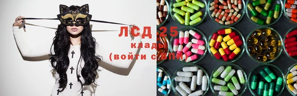 мяу мяу мука Аркадак