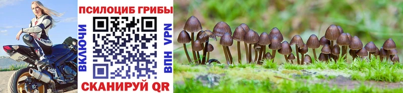 omg ссылки  Кубинка  Псилоцибиновые грибы Cubensis 